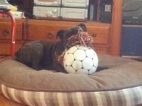 Which should I play with.jpg