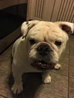 tubbie.webp
