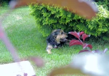 021.webp