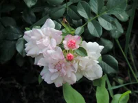 016.webp