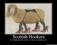 sheep.webp