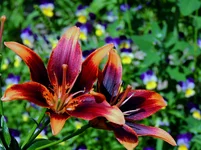 011.webp