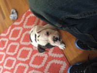 IMG_3702.JPG IMG_3702.JPG