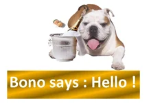 aQ9K7ST.webp