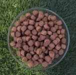 12970231_10206049475692342_711334470_o.jpg 12970231_10206049475692342_711334470_o.jpg