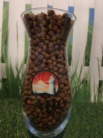 12986893_10206049476012350_1191458375_o.jpg 12986893_10206049476012350_1191458375_o.jpg