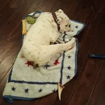 20160201_235552.webp