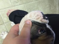 image.jpeg image.jpeg