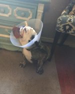 image.jpeg image.jpeg