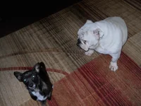 DSCN0522.webp