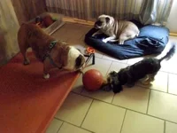 DSCF5906.webp