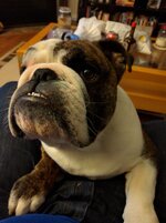 BOGEY 051.jpg