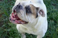 download (3).webp