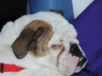 MuMhospitalandrosie 047.webp MuMhospitalandrosie 047.webp