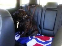 Im going to the park, im going to the park.webp