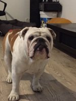 image.jpeg image.jpeg