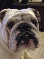 image.jpeg image.jpeg