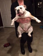 Pick me up Pick me up.webp