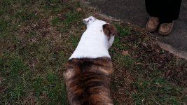 20160117_114205.jpg