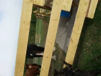 Horses5.webp