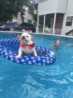 pool2.jpg pool2.jpg