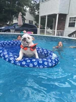 pool2.webp pool2.webp