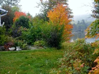 fall 024.webp fall 024.webp