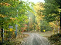 fall 037.webp