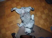 012.webp 012.webp