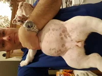 2016-02-10 20.06.46.webp
