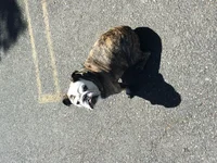 image.webp