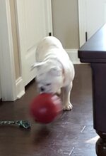 20160211_155106.jpg