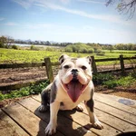 IMG-20160514-WA0001.webp