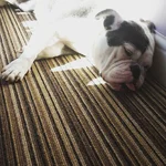 IMG_20160504_092743.webp