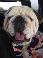 buster1.webp