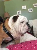 buster2.webp