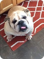 buster5.jpg buster5.jpg