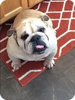 buster5.webp