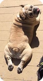 buster6.jpg buster6.jpg