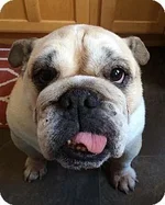 buster3.webp