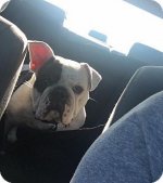buster8.jpg buster8.jpg