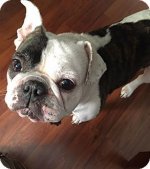 buster9.jpg buster9.jpg