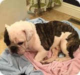 buster10.jpg buster10.jpg