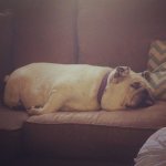 image.jpeg image.jpeg