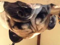 image.webp