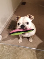 image.webp