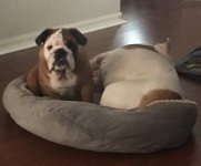 Photo May 10, 4 07 02 PM.jpg