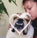 Harveyspecterbullytine.webp Harveyspecterbullytine.webp