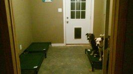 Dog room.jpg