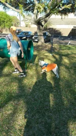 image.webp